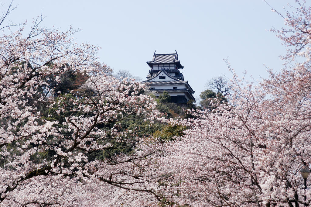 Meitetsu Hotel Inuyama Aichi Exterior foto